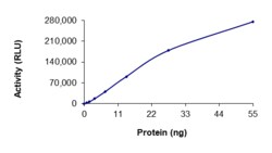 Sino Biological&nbsp;Recombinant Human IRE1 Protein (R728A, GST Tag), Active